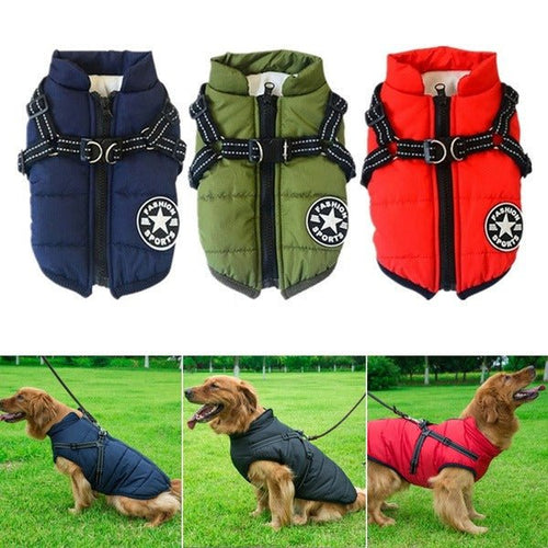 PawsGuard™ | The Ultimate Protective Winter Coat for Dogs