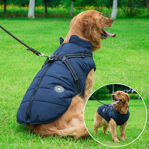 PawsGuard™ | The Ultimate Protective Winter Coat for Dogs