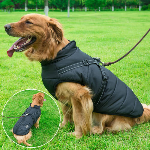 PawsGuard™ | The Ultimate Protective Winter Coat for Dogs