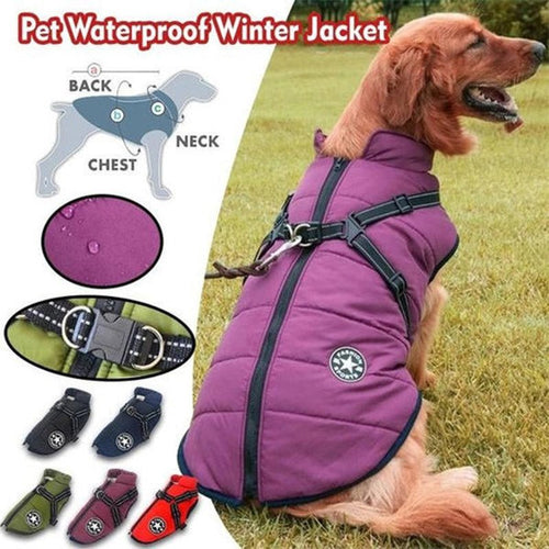 PawsGuard™ | The Ultimate Protective Winter Coat for Dogs