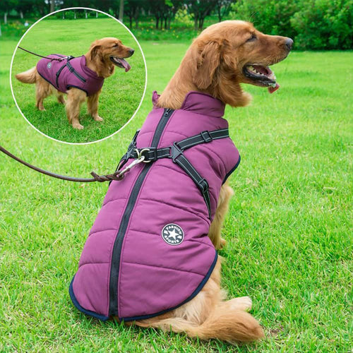 PawsGuard™ | The Ultimate Protective Winter Coat for Dogs