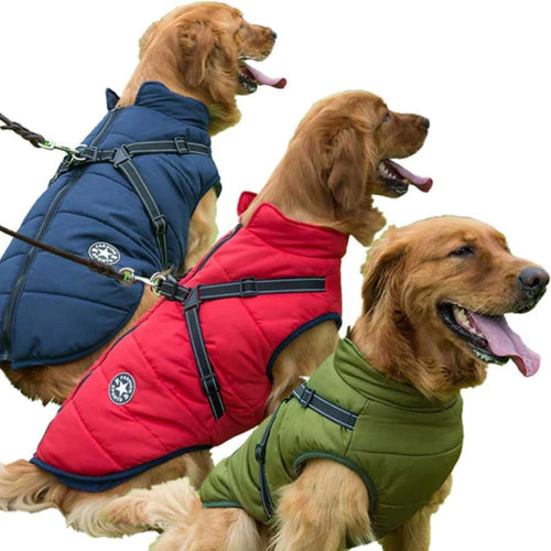 PawsGuard™ | The Ultimate Protective Winter Coat for Dogs